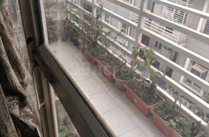 2Bhk flat available in Apartment Greater Noida for sale