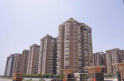 3+1 Penthouse for sale in Amrapali zodiac sector -120 centre noida (Price-2.25CR) only.